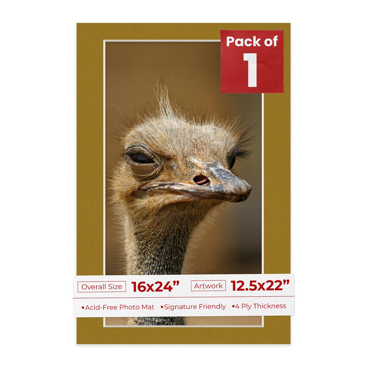 Metallic Gold Mat Board for 16x24 Frames - Fits 12.5x22 Photos